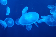 1020-180431-TK-20221020_180431